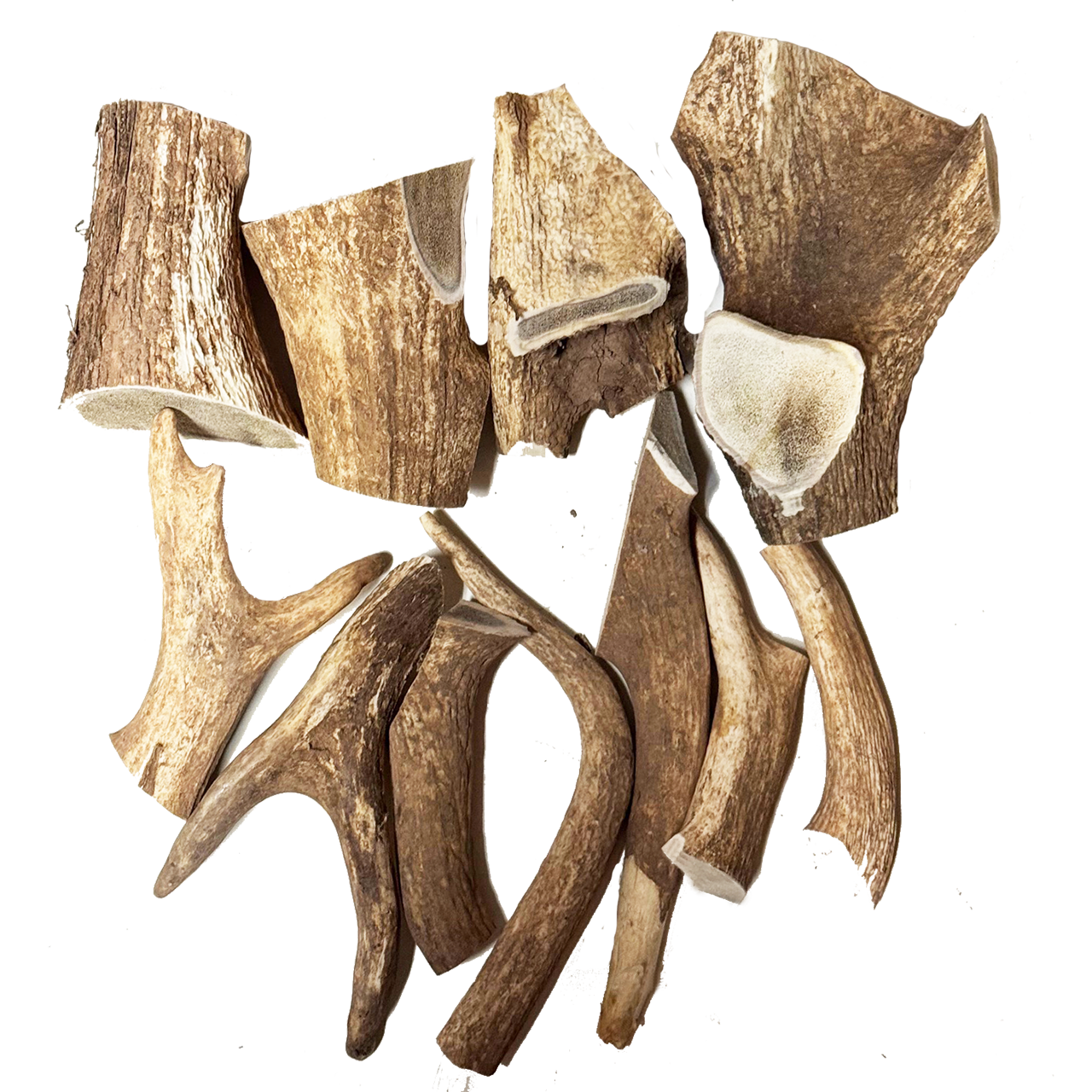 Red Deer Antlers Pet Treats - Farm Raised