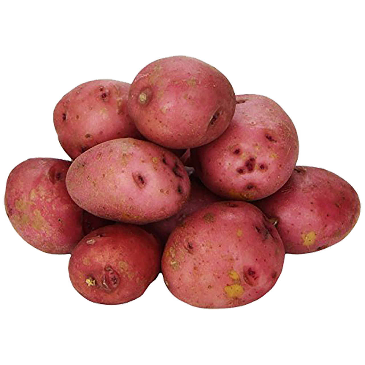 Baby Red Potatoes - Organic