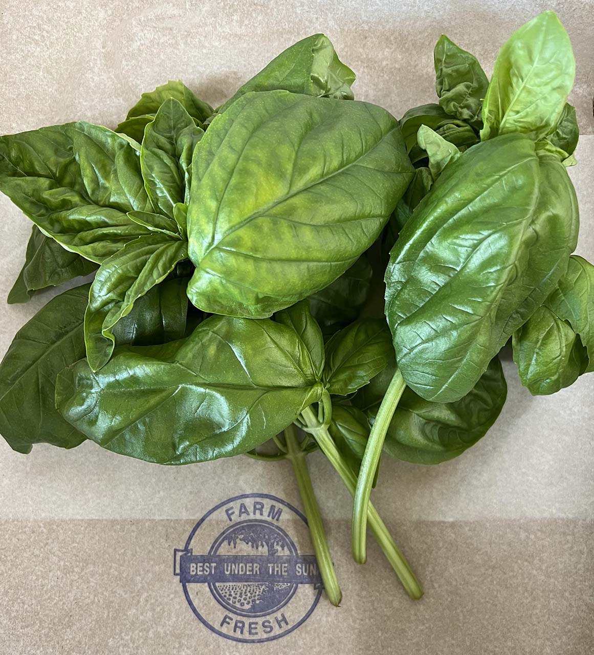 Basil - Chemical Free