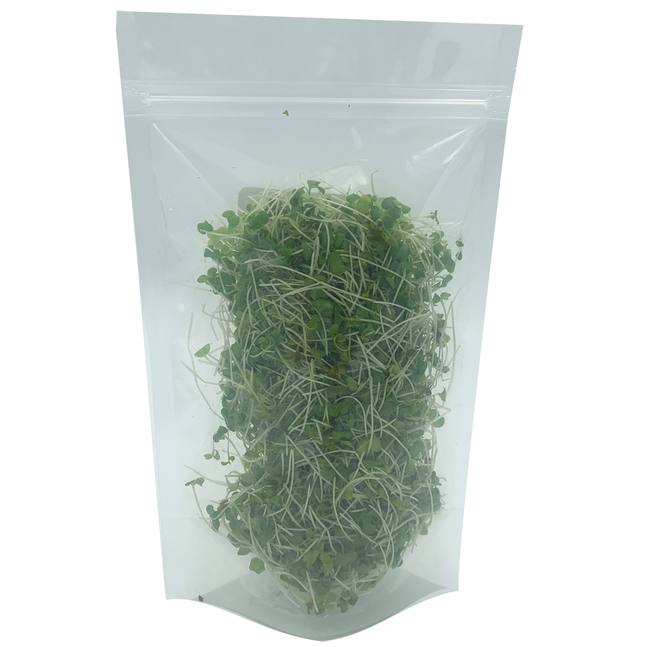 Broccoli Microgreens