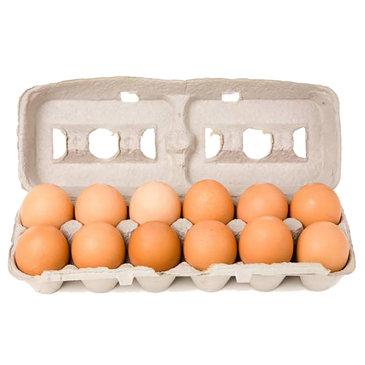Farm Fresh Eggs