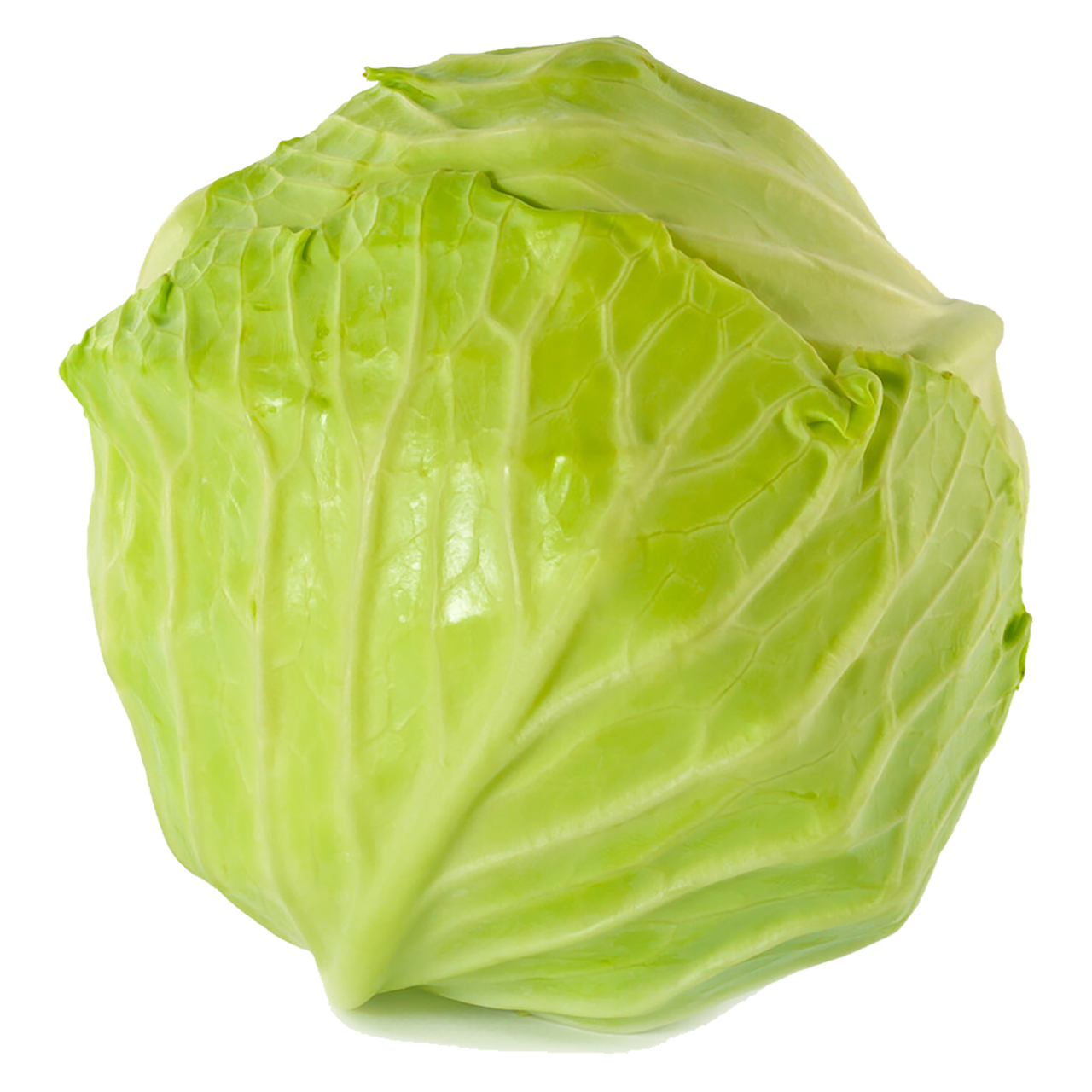 Green Cabbage