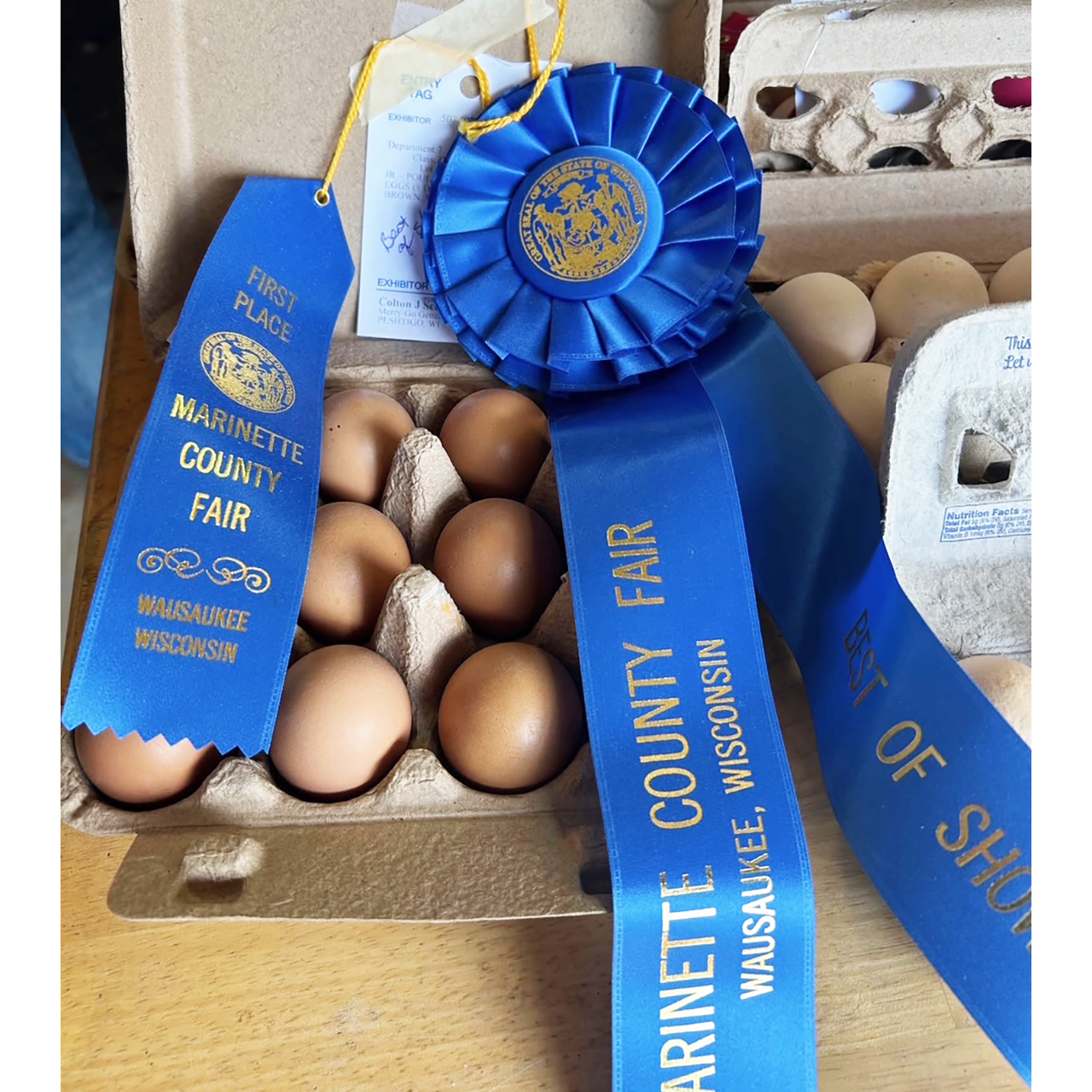 Colton's Eggs