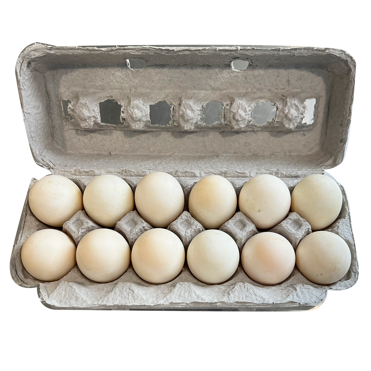 Duck Eggs