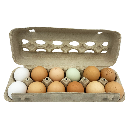 Eggs - Organic