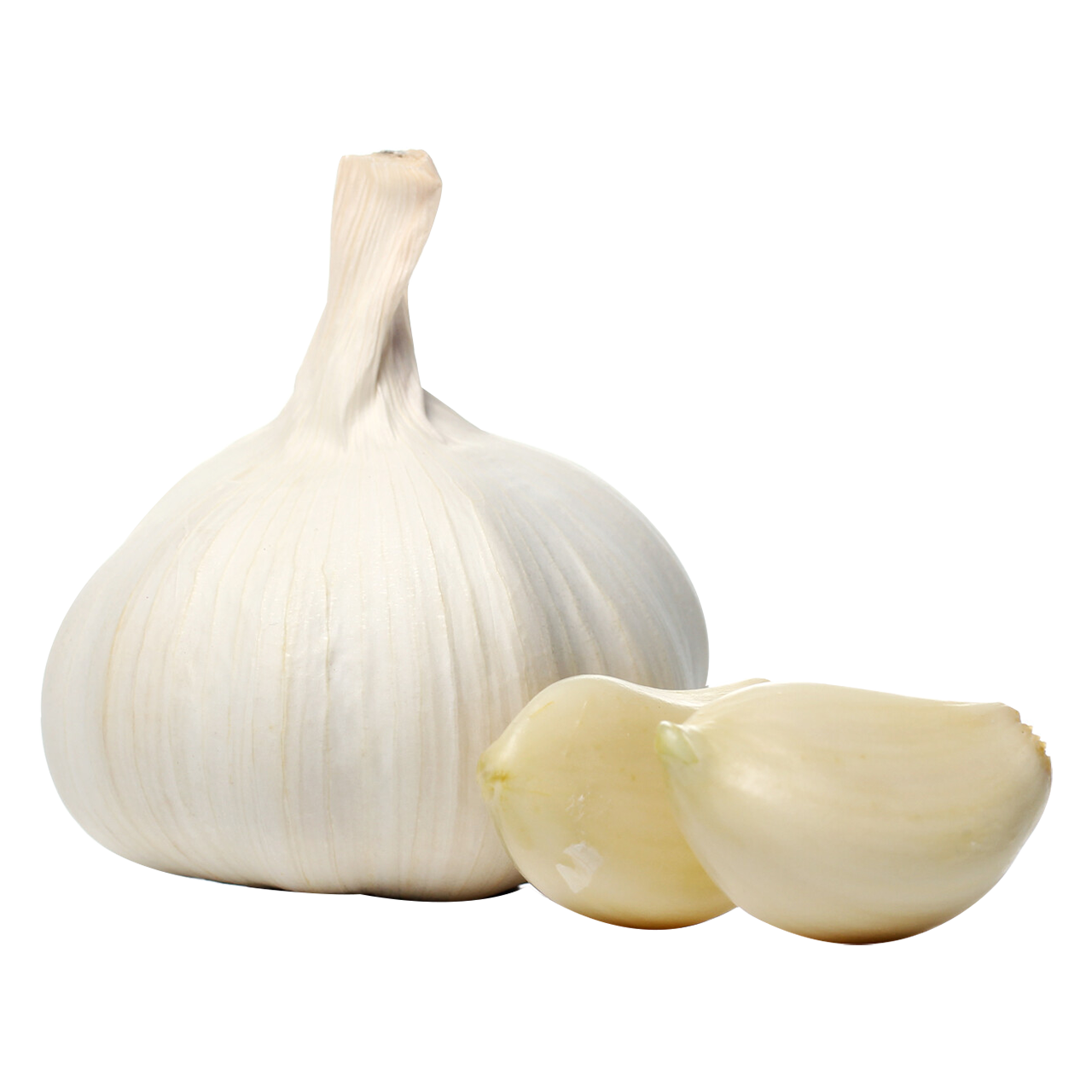 Early German White Garlic - Chemical Free- 1 Bulb