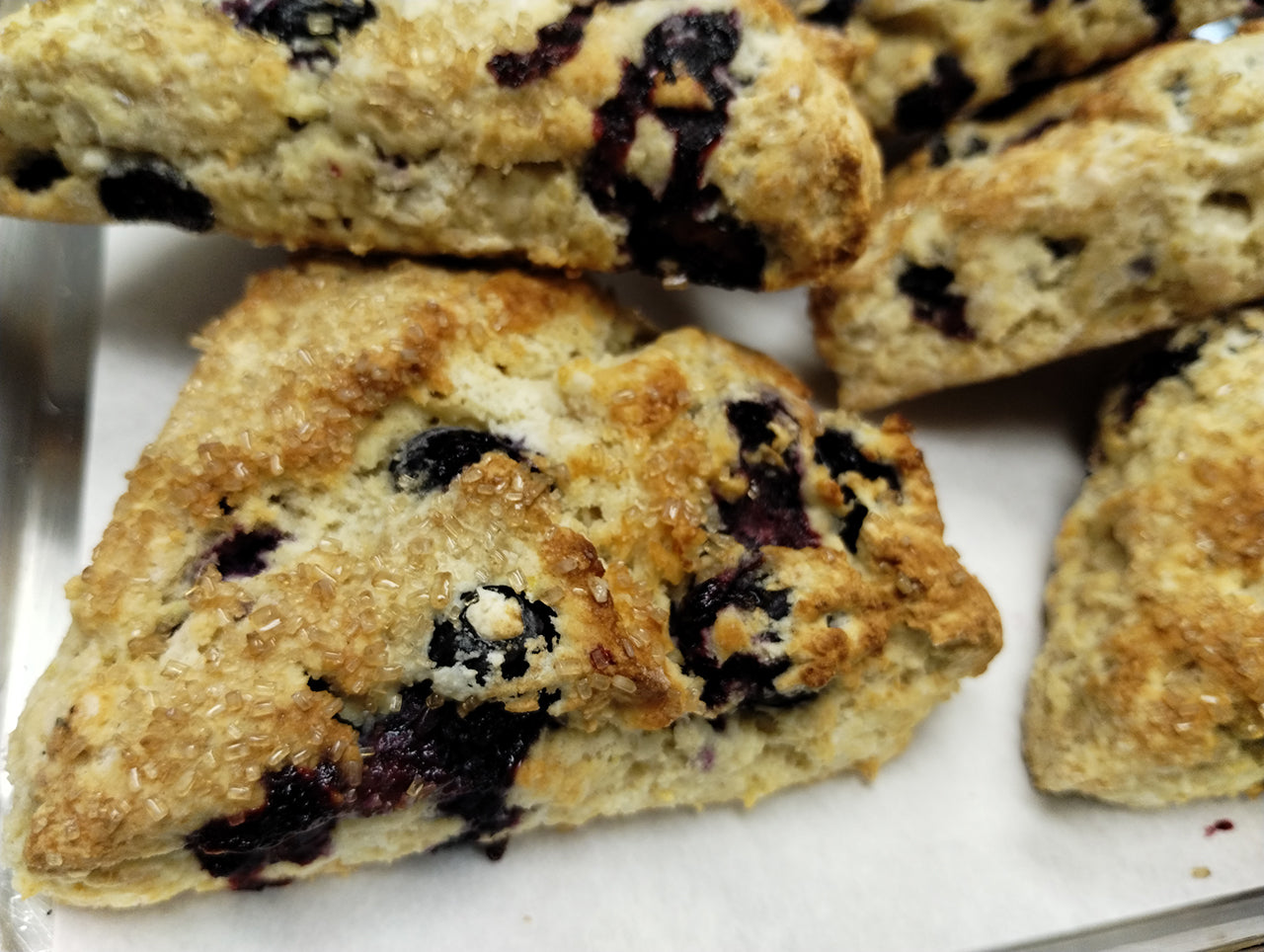 Lemon Blueberry Scones - Gluten Free - 4 pack