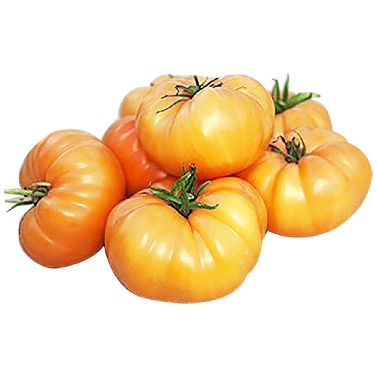 Orange Beefsteak Tomatoes - Chemical Free