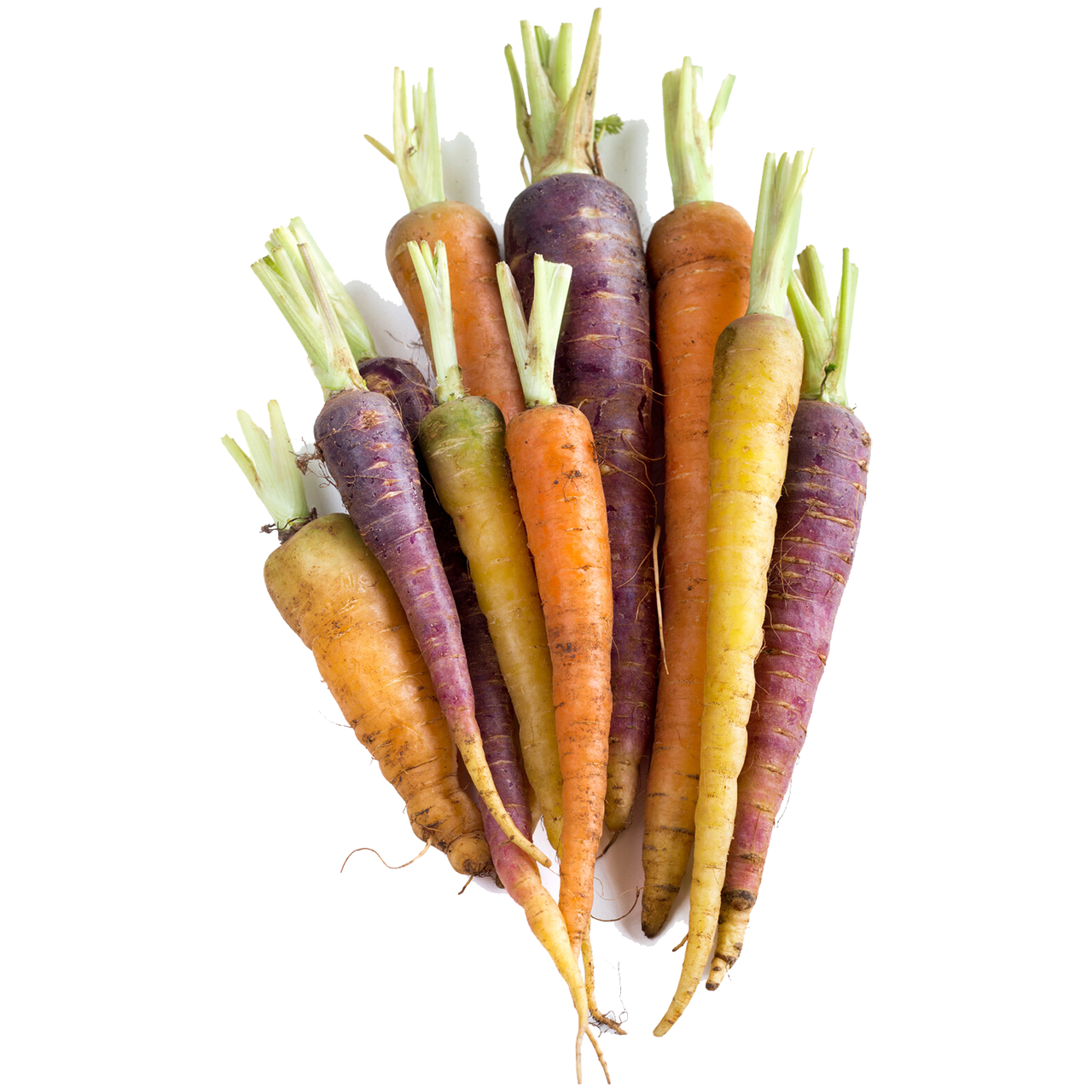 Rainbow Carrots - Chemical Free