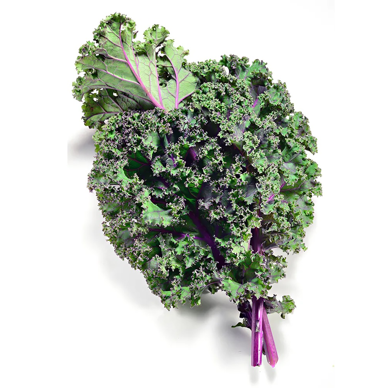 Red Bunched Kale - Organic