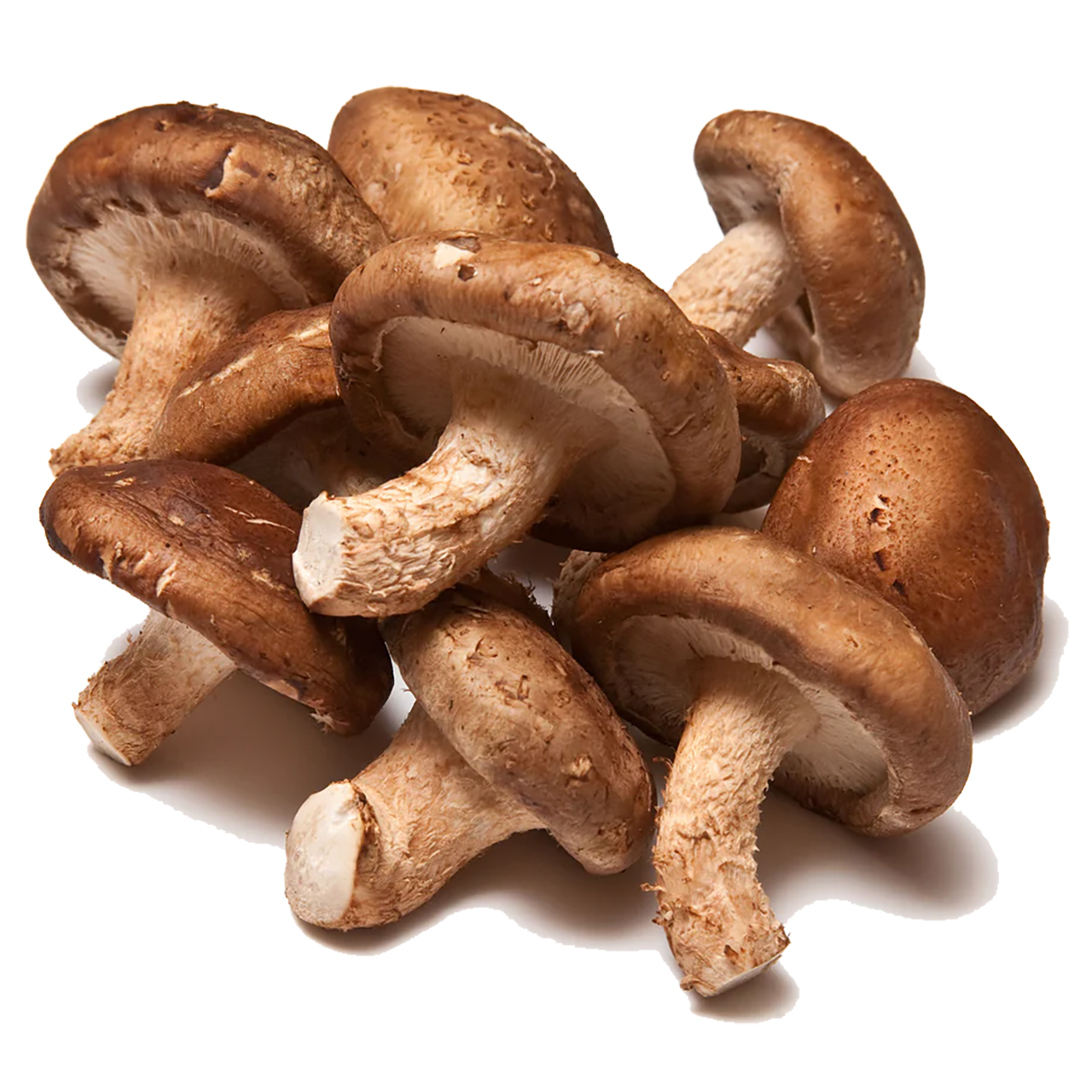 Shiitake Mushrooms
