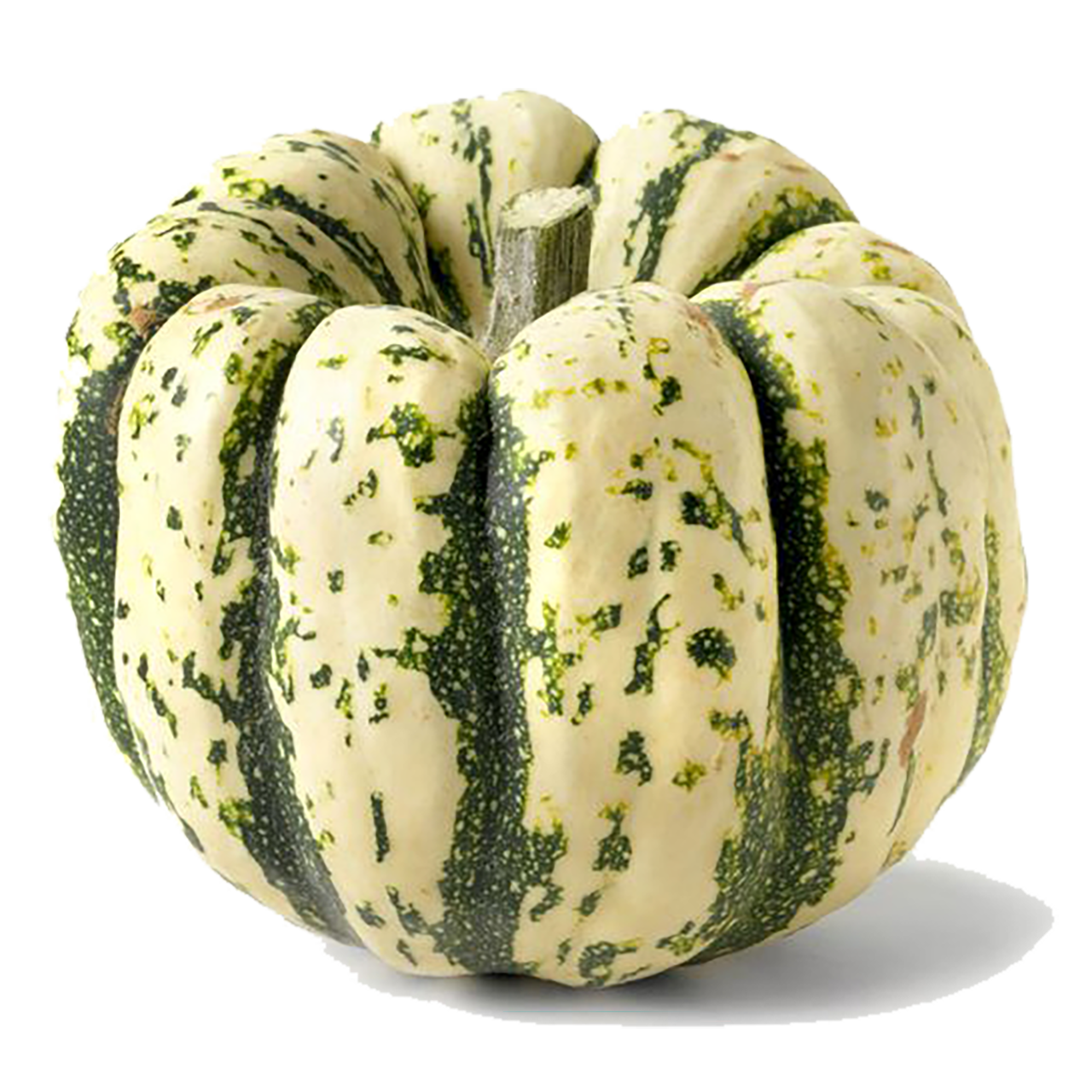 Sweet Dumpling Squash