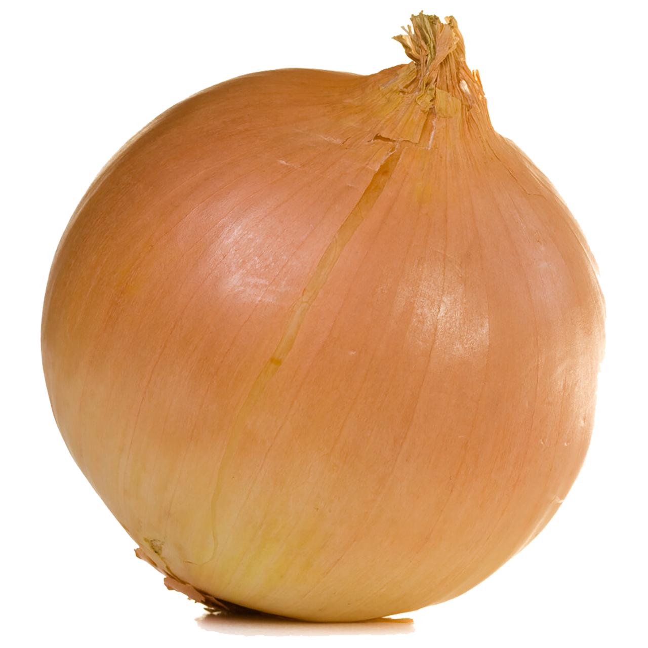 Yellow Onions - Chemical Free