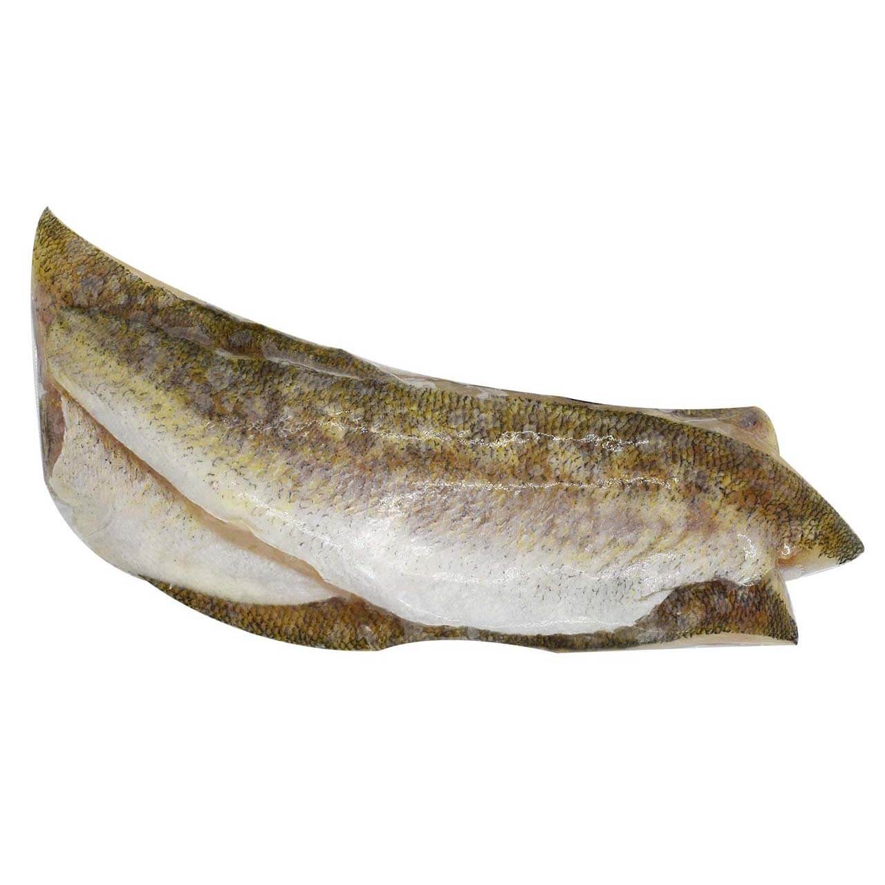 Walleye Fillets