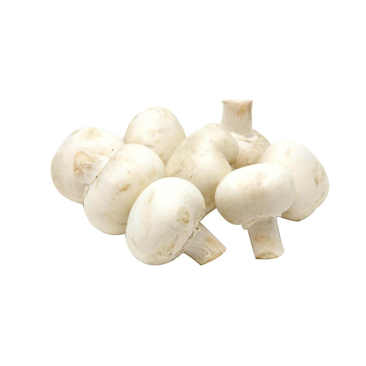 Button Mushrooms