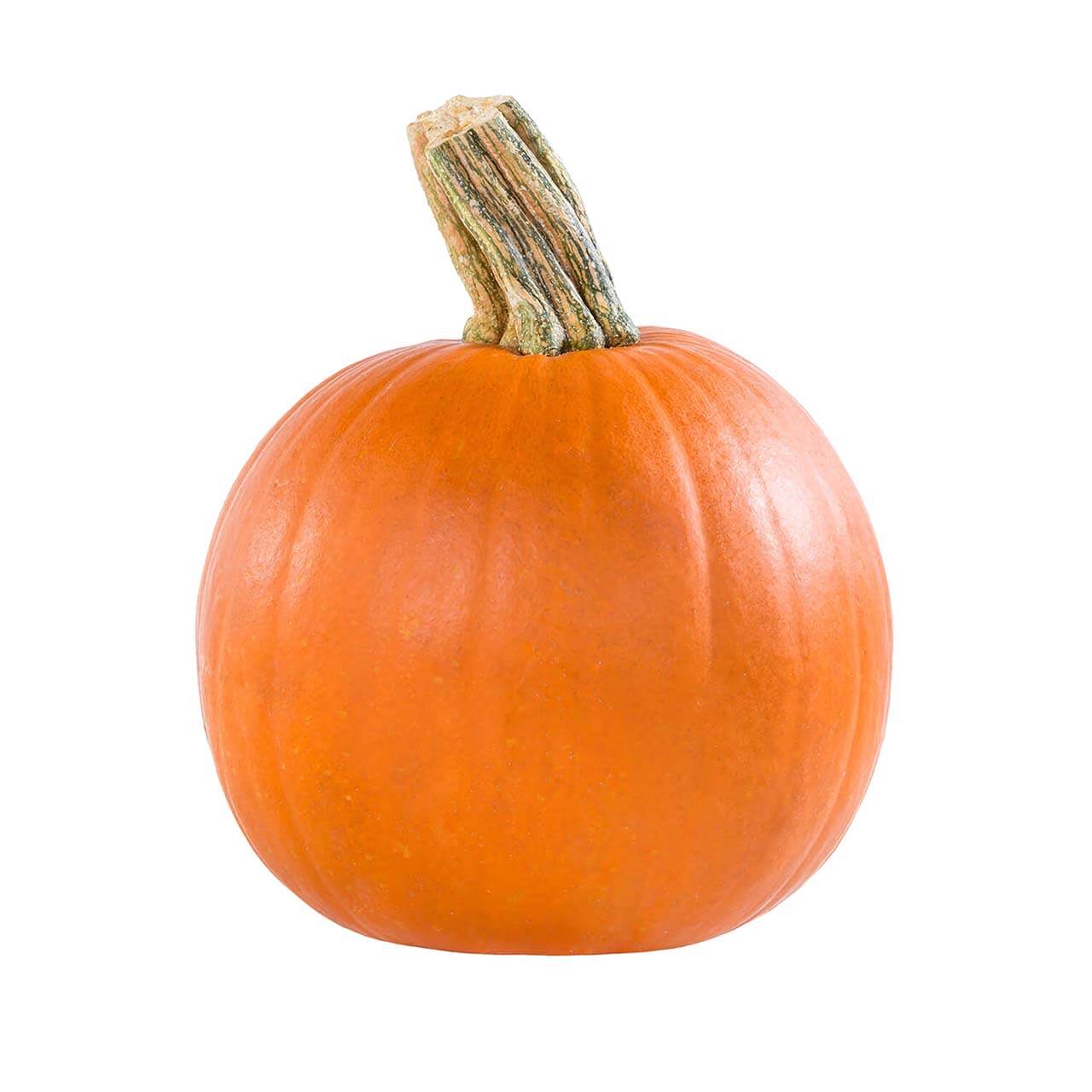Pie Pumpkin - Organic