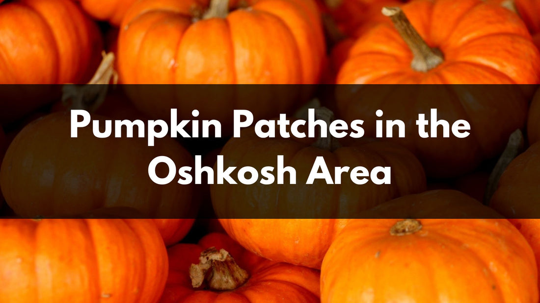Pile of Pumpkins with Black Banner and White Pumpkin Patches in the Oshkosh Area Text