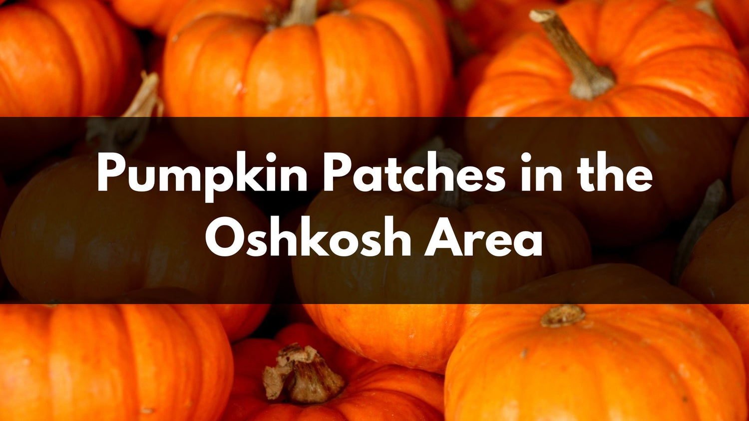 Pick-Your-Own Pumpkin Patches and Stands Oshkosh WI – FarmFreshXpress ...