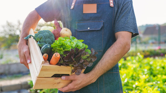 Man Holding a Box of Fresh Vegetables