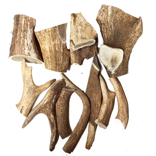 Red Deer Antlers Pet Treats - Farm Raised