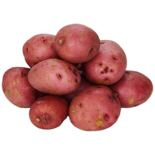 Baby Red Potatoes - Organic