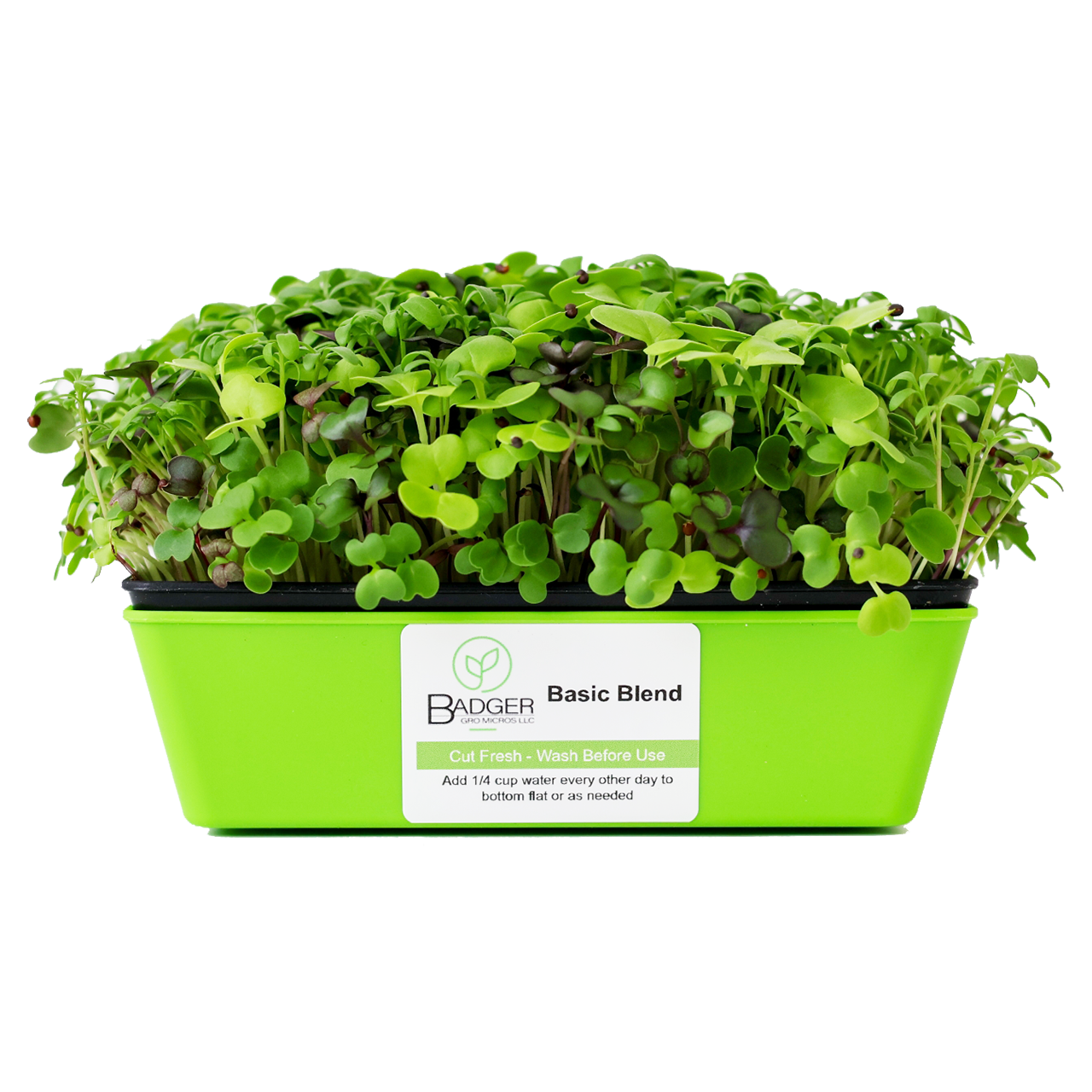 Basic Blend Microgreens