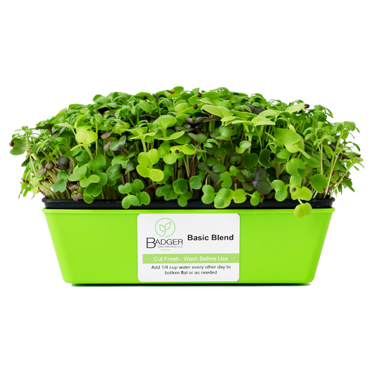 Basic Blend Microgreens