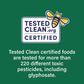 Black Turtle Beans - Organic