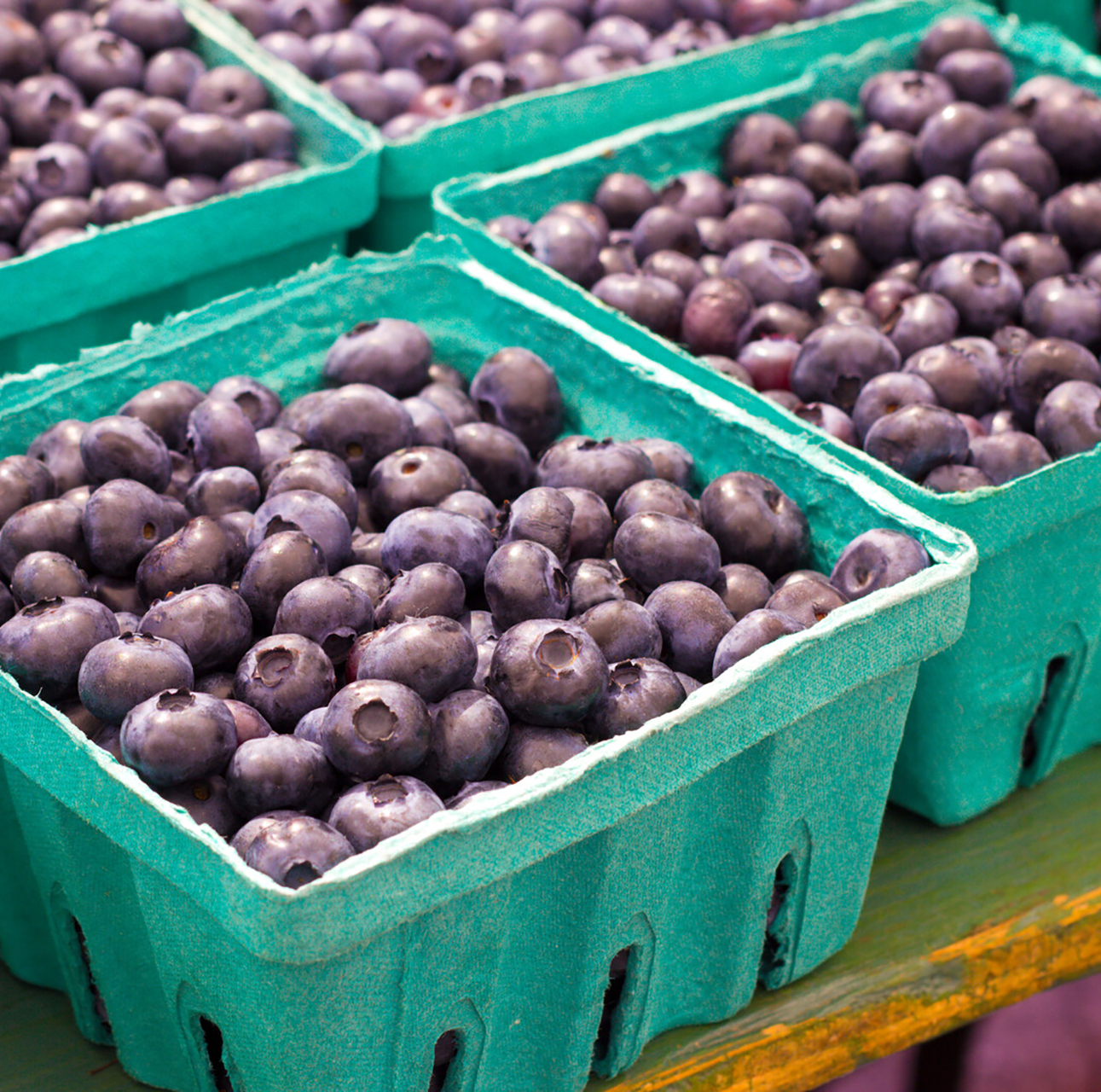 Blueberries - 10 Lb. Box