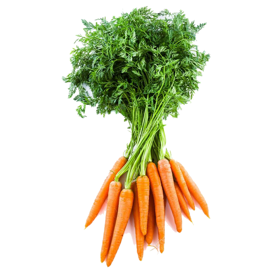 Carrots - Organic