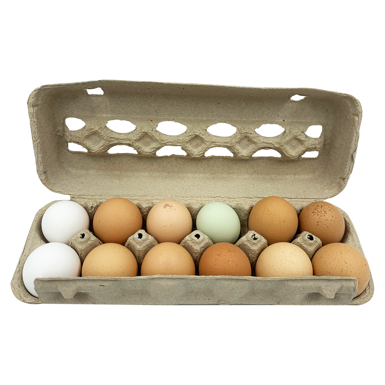 Eggs - Organic