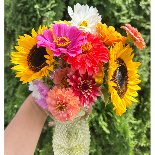 Fresh Cut Flowers