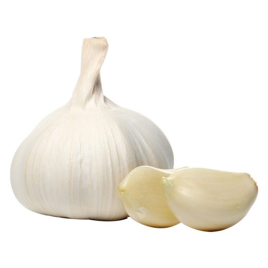 Early German White Garlic - Chemical Free- 1 Bulb