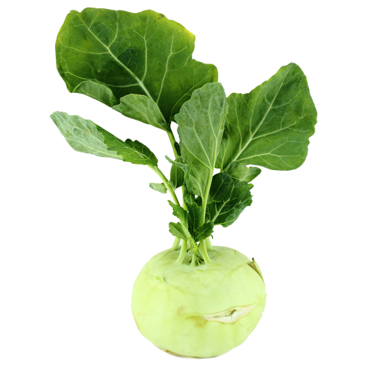 Green Kohlrabi - Chemical Free