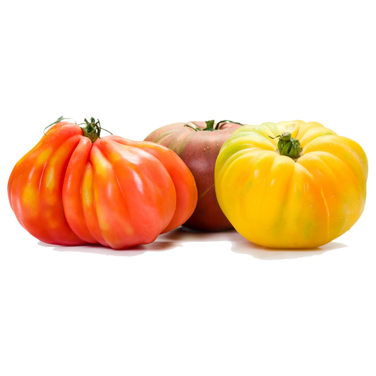 Heirloom Tomatoes - Organic