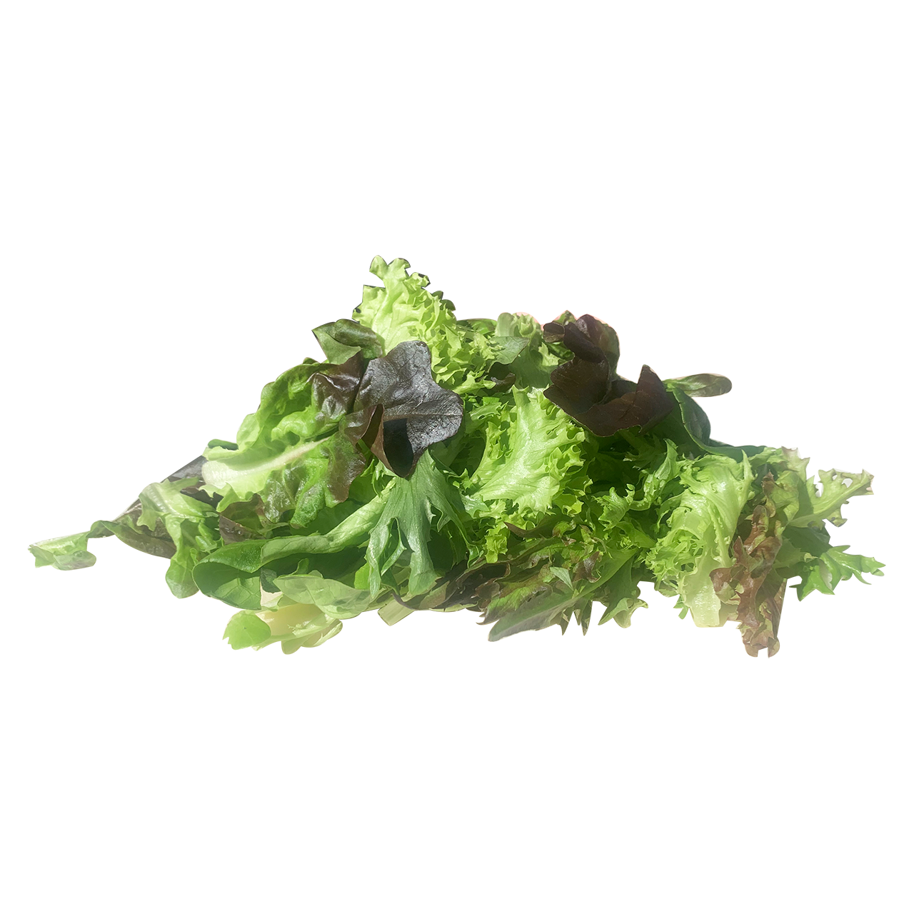 Salanova Lettuce Mix