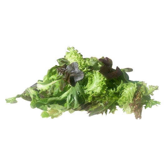 Salanova Lettuce Mix