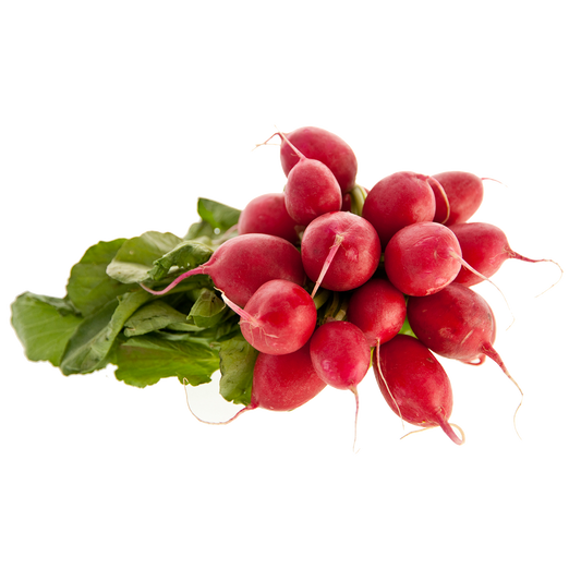 Radishes - Organic