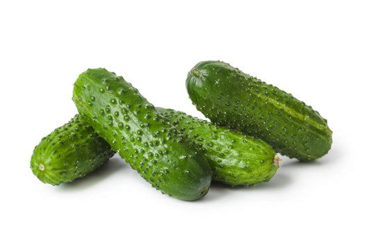 Pickling Cucumbers - Organic