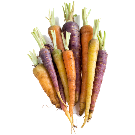 Rainbow Carrots - Chemical Free