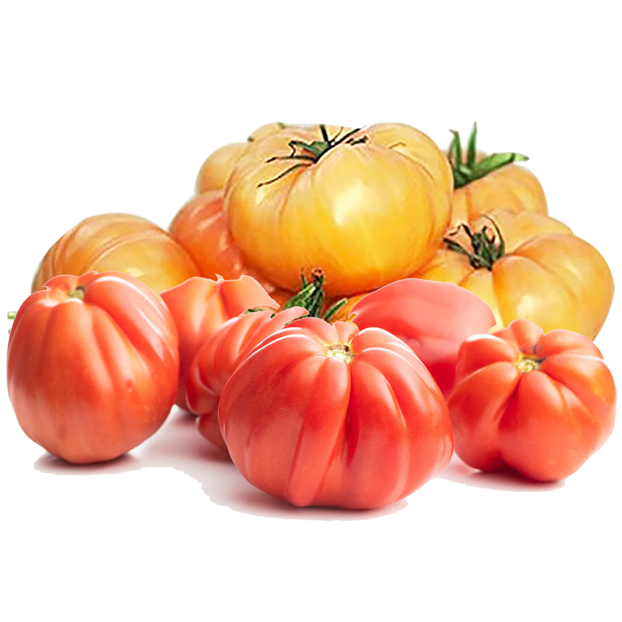 Orange & Red Beefsteak Tomatoes - 3# bag - Chemical Free