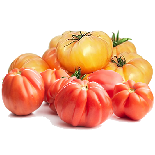 Orange & Red Beefsteak Tomatoes - 3# bag - Chemical Free