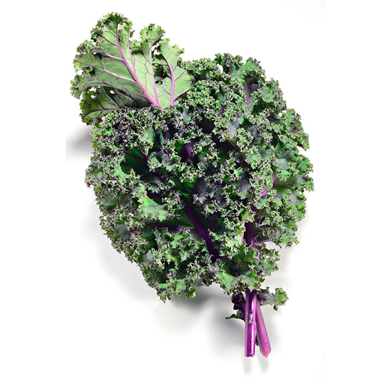 Red Bunched Kale - Organic