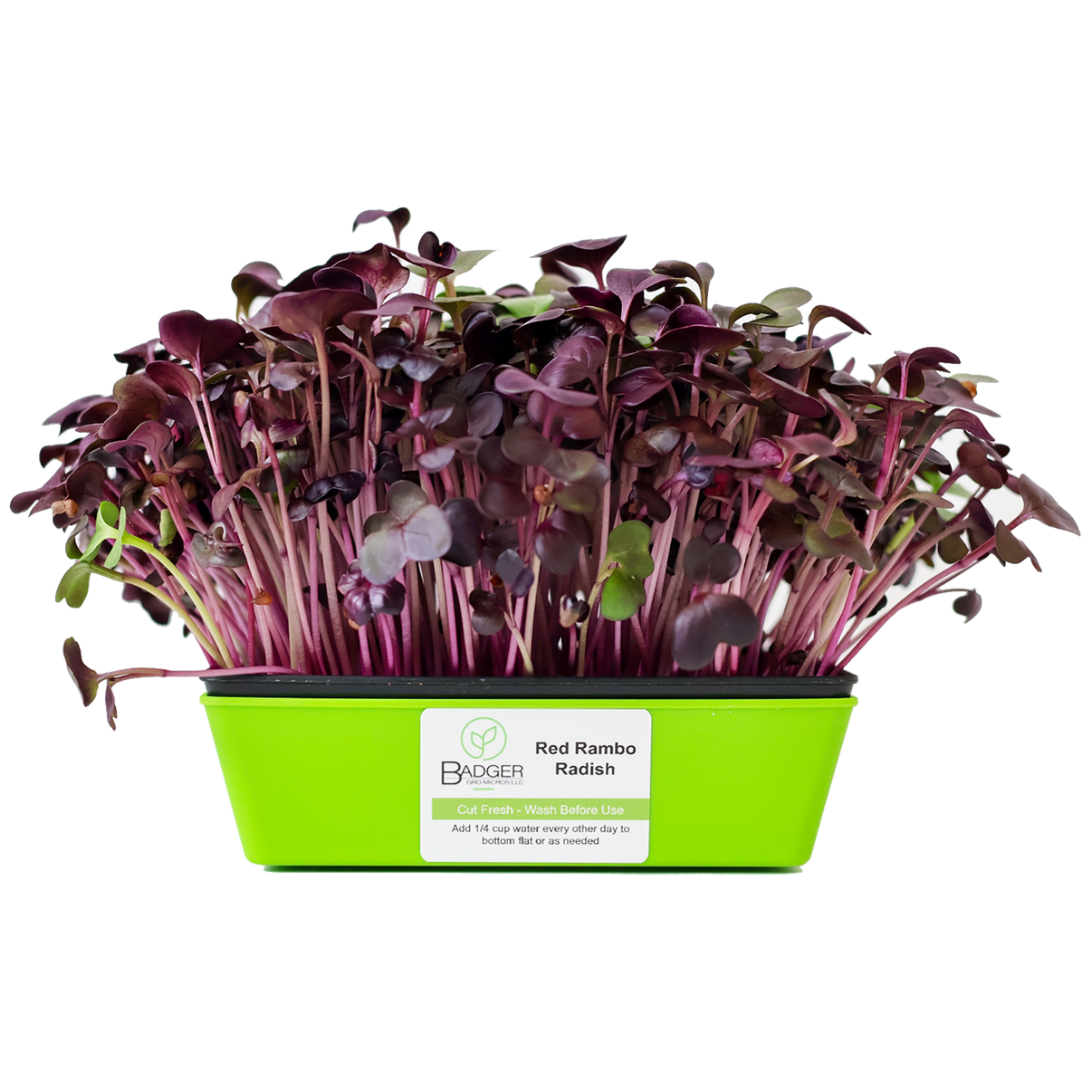 Red Rambo Radish Microgreens FarmFreshXpress Local Food to Your