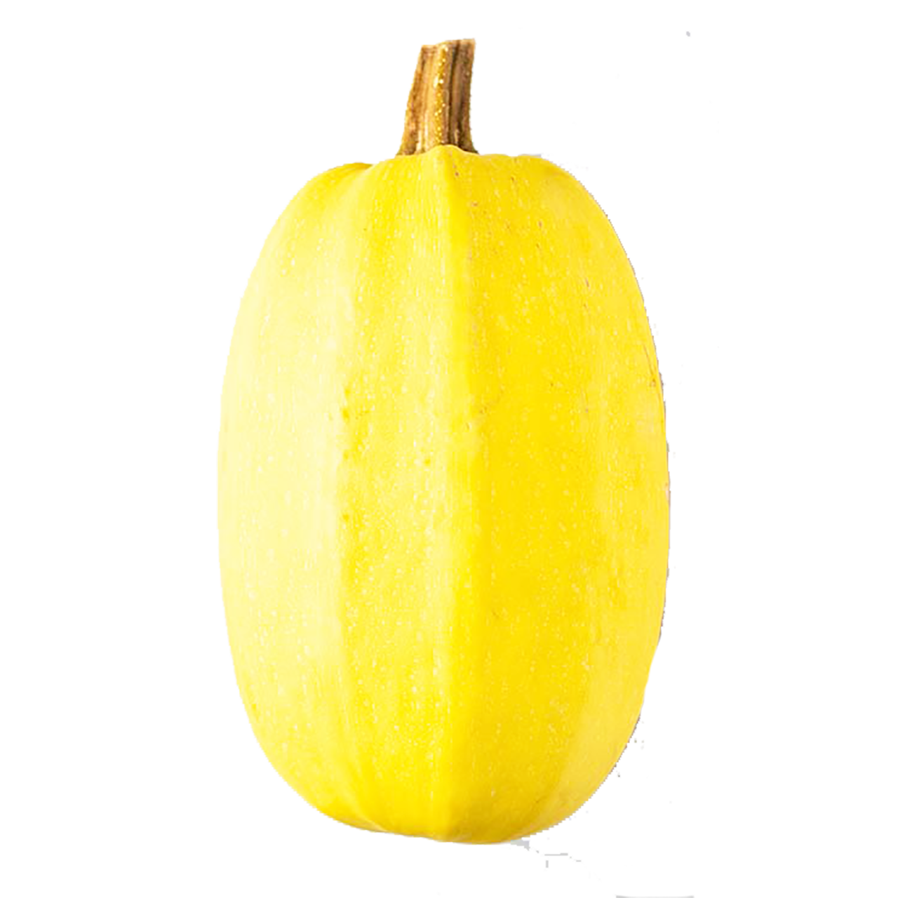 Spaghetti Squash - Organic