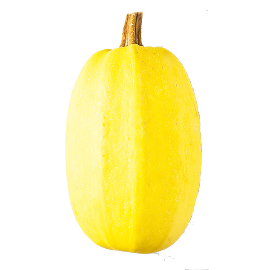 Spaghetti Squash - Organic