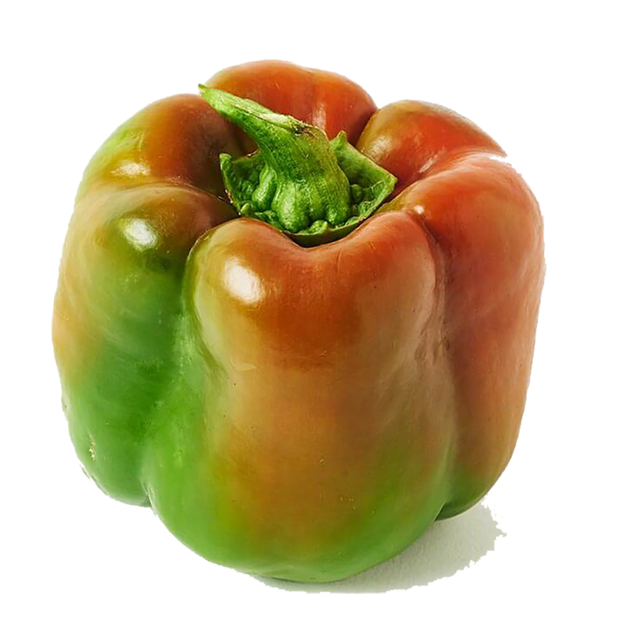 Suntan Peppers Bell Pepper - Organic