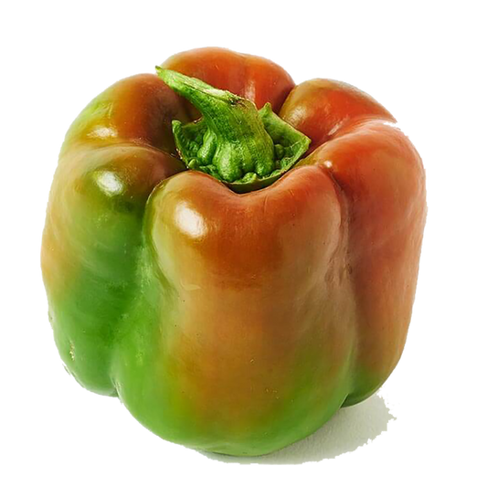 Suntan Peppers Bell Pepper - Organic