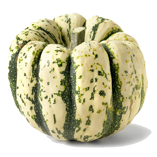 Sweet Dumpling Squash