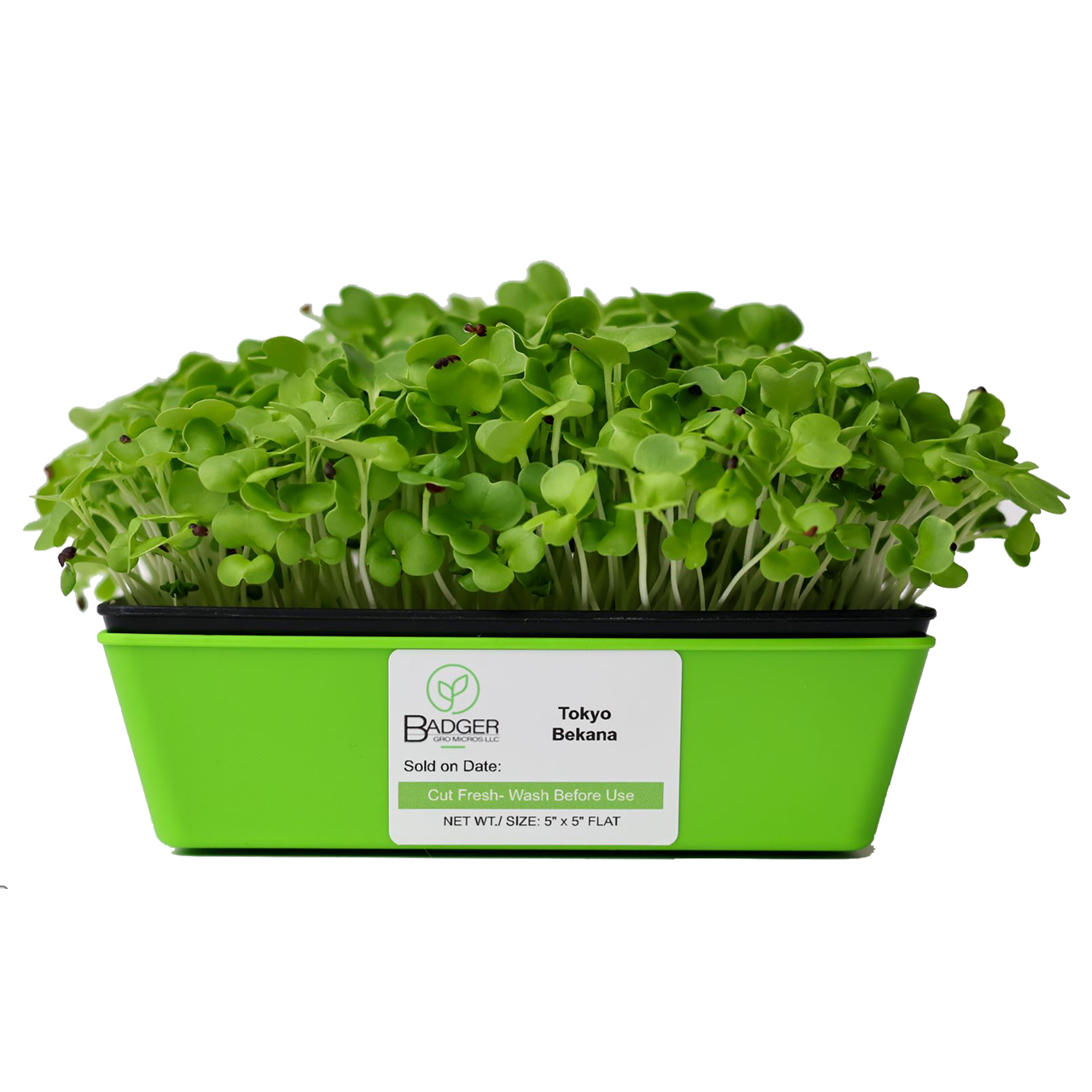 Tokyo Bekana Microgreens FarmFreshXpress Local Food to Your Doorstep